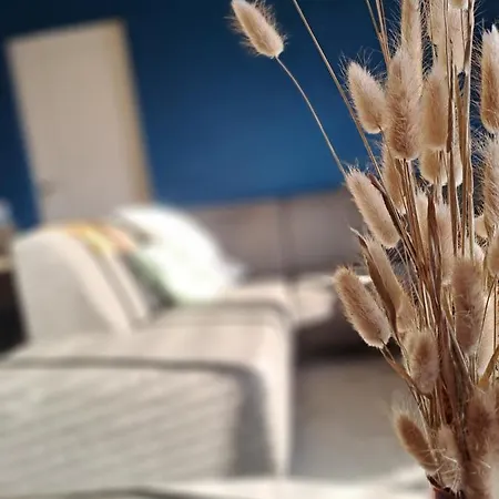 The Tulip Jack בית נופש יוליאנאדורפ