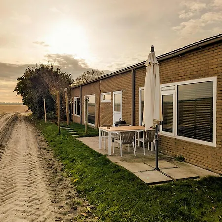 The Tulip Jack * Julianadorp