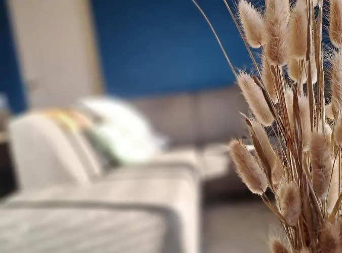 The Tulip Jack Vakantiehuis Julianadorp