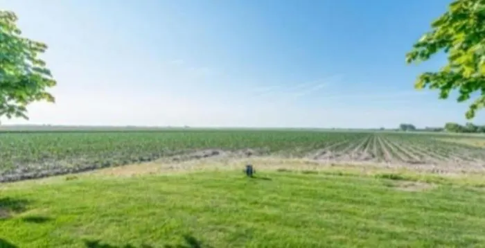 The Tulip Jack * Julianadorp