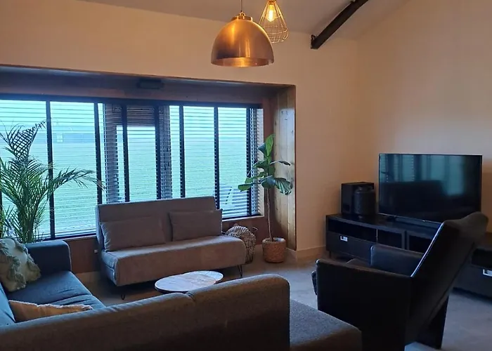 The Tulip Jack * Julianadorp