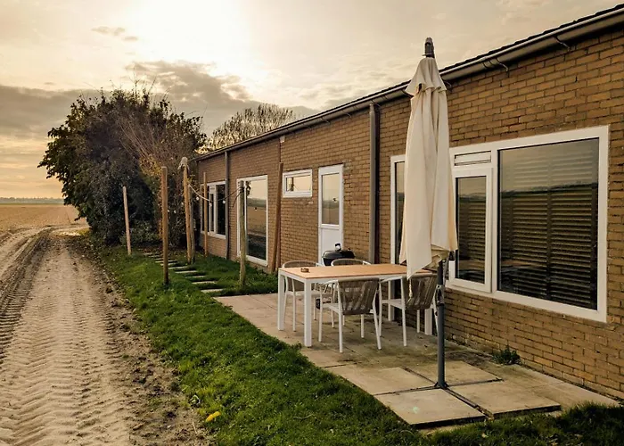 The Tulip Jack * Julianadorp